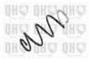QUINTON HAZELL QCS6600 Coil Spring